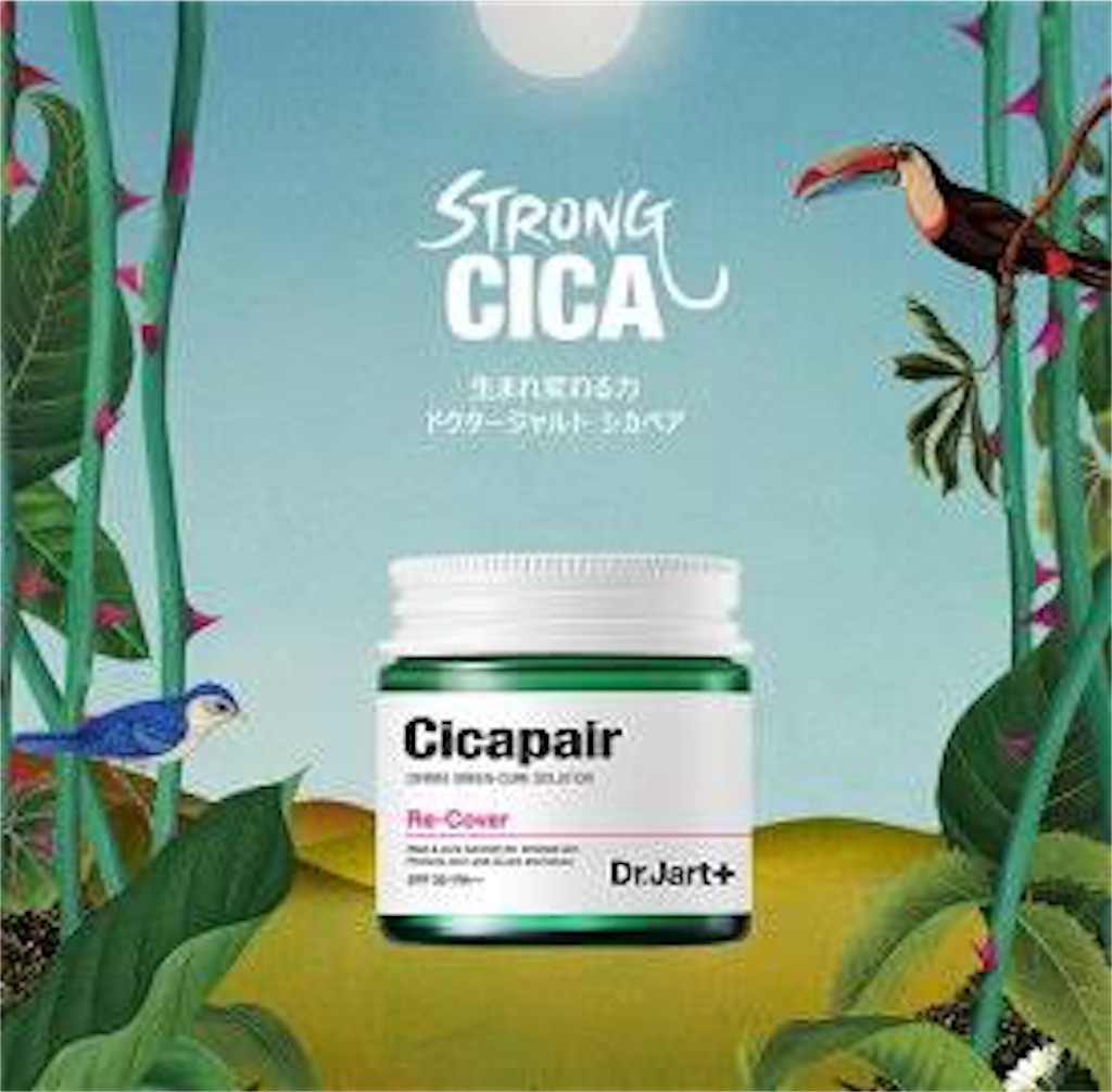 f:id:nkrnksk:20190315222642j:image