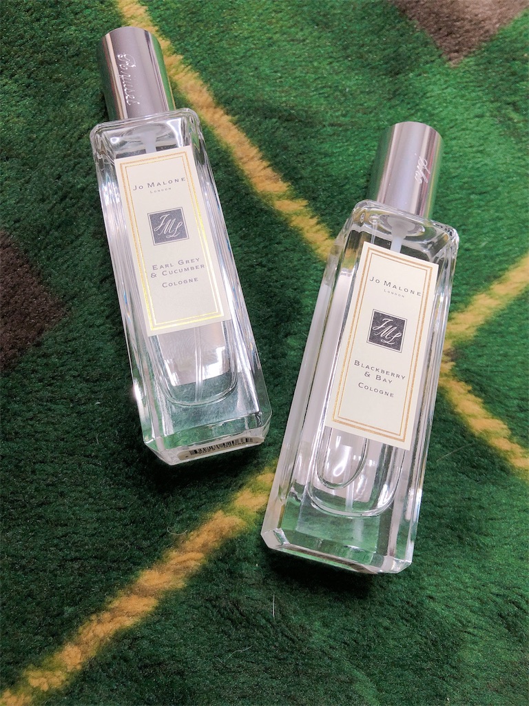 f:id:nkrnksk:20190326220141j:image