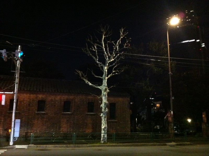 f:id:nksmasm:20120311234858j:image