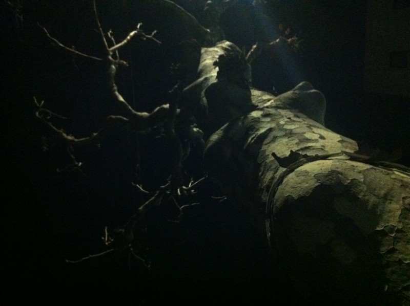 f:id:nksmasm:20120311235012j:image