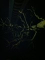 20120311235029