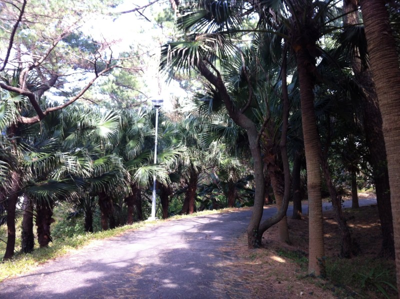 f:id:nksmasm:20120313152708j:image