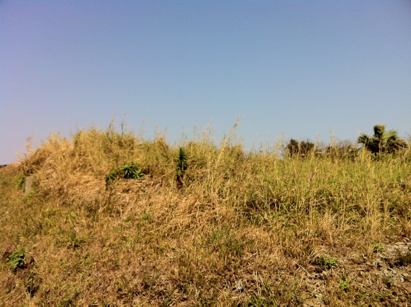 f:id:nksmasm:20120314134411j:image