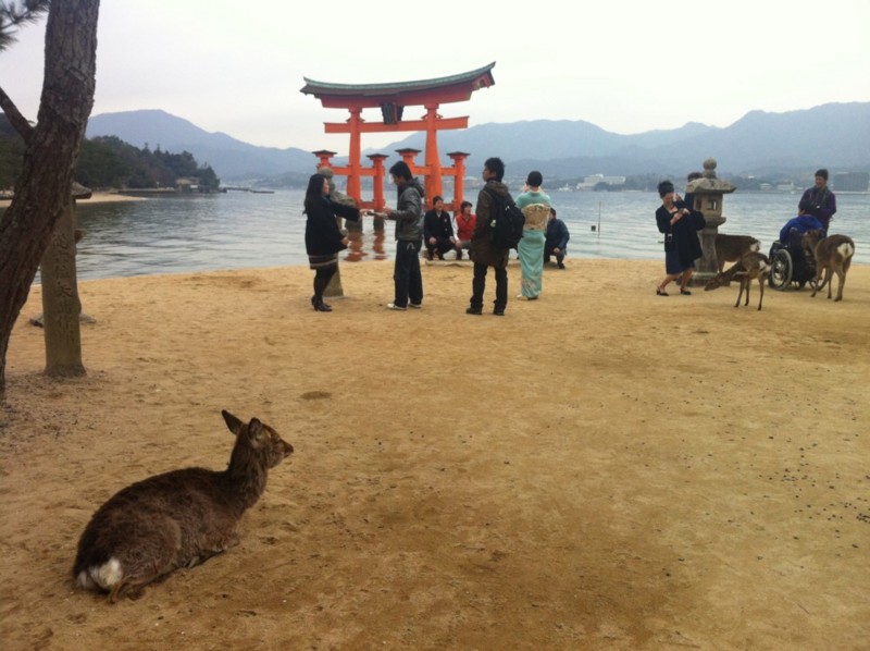 f:id:nksmasm:20120316135906j:image