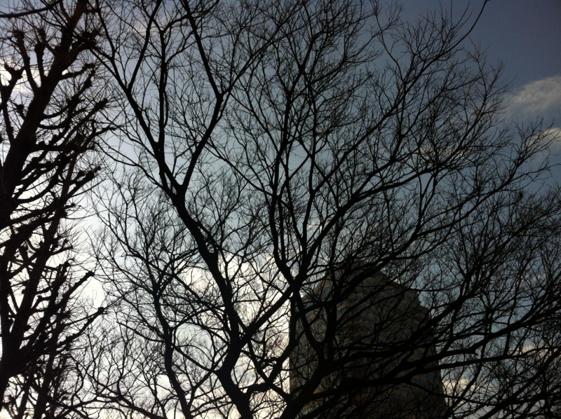 f:id:nksmasm:20120324152620j:image
