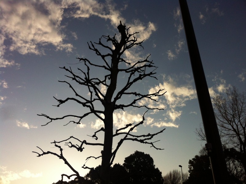 f:id:nksmasm:20120324170414j:image