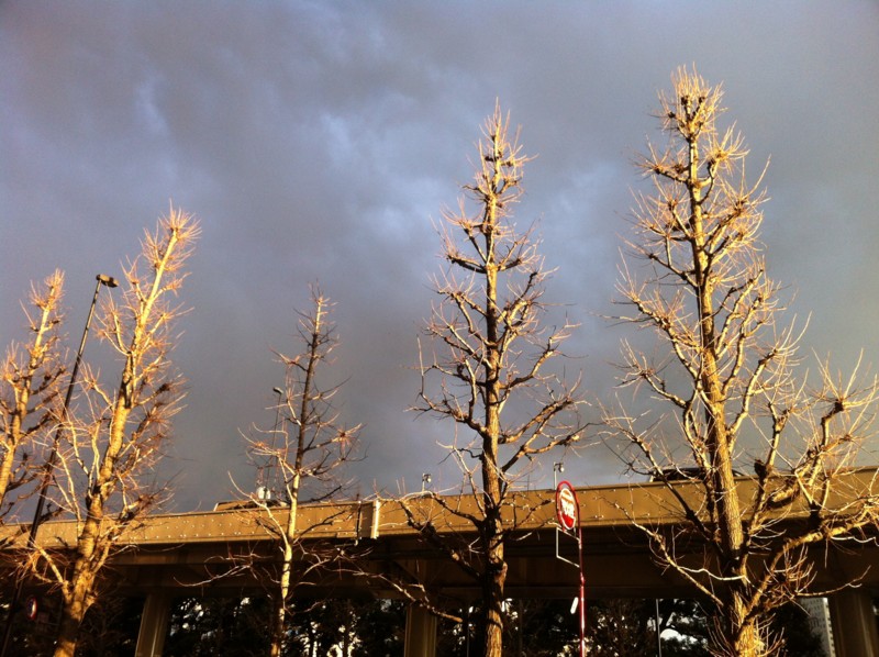 f:id:nksmasm:20120325172455j:image