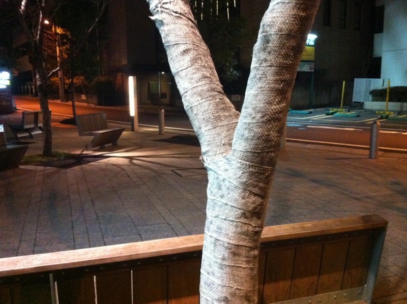 f:id:nksmasm:20120325214427j:image