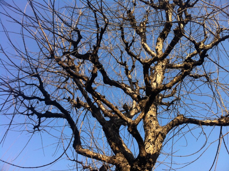 f:id:nksmasm:20120329163315j:image