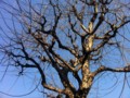 20120329163315