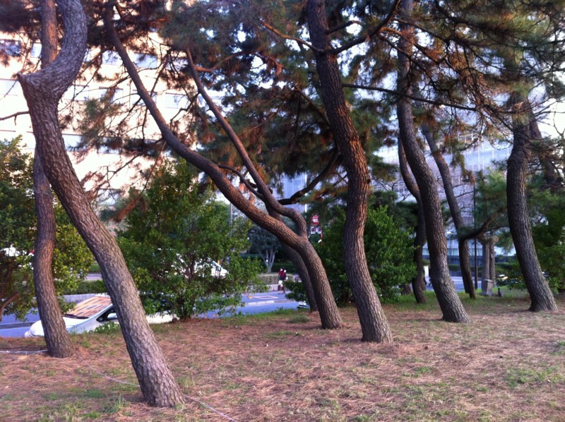 f:id:nksmasm:20120329174052j:image