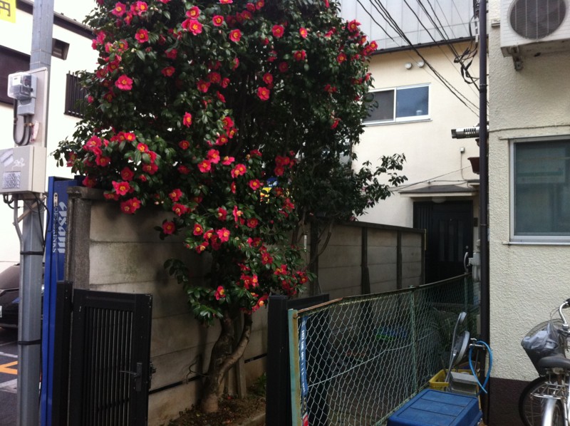 f:id:nksmasm:20120401162539j:image