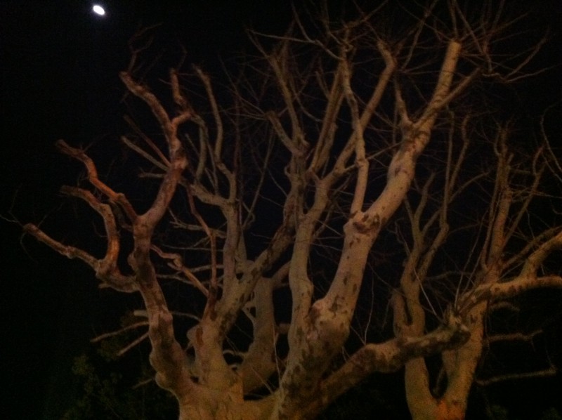 f:id:nksmasm:20120401201221j:image