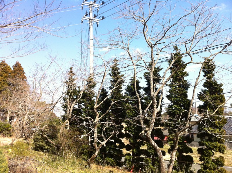 f:id:nksmasm:20120408144208j:image