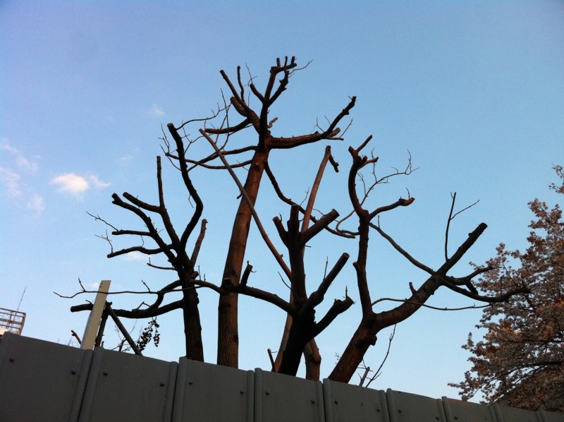 f:id:nksmasm:20120409174406j:image