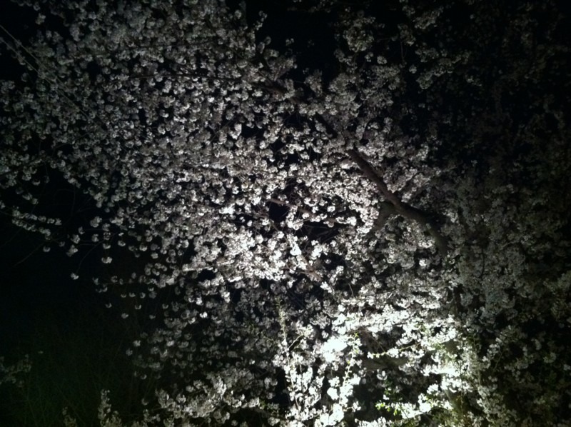 f:id:nksmasm:20120409201719j:image