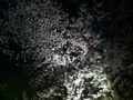 20120409201719