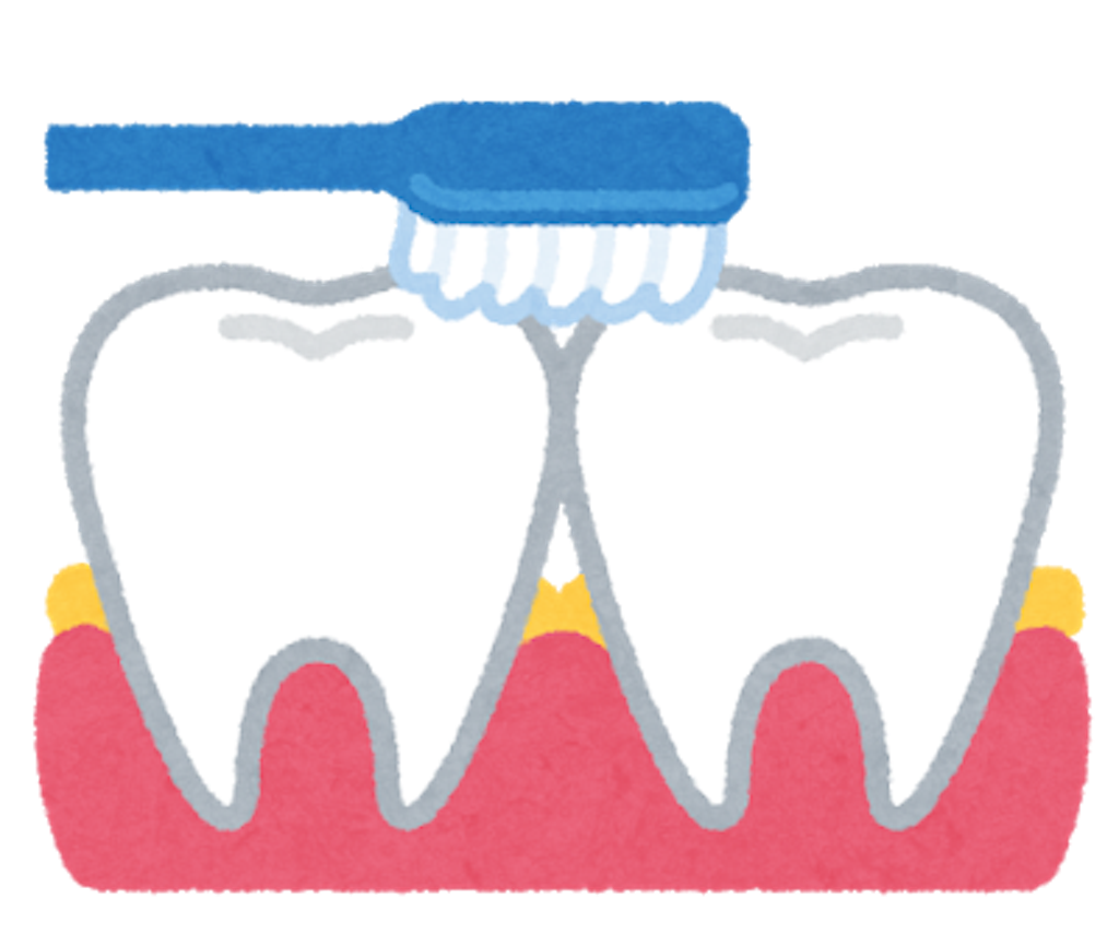 f:id:nktfamily:20190121203021p:image