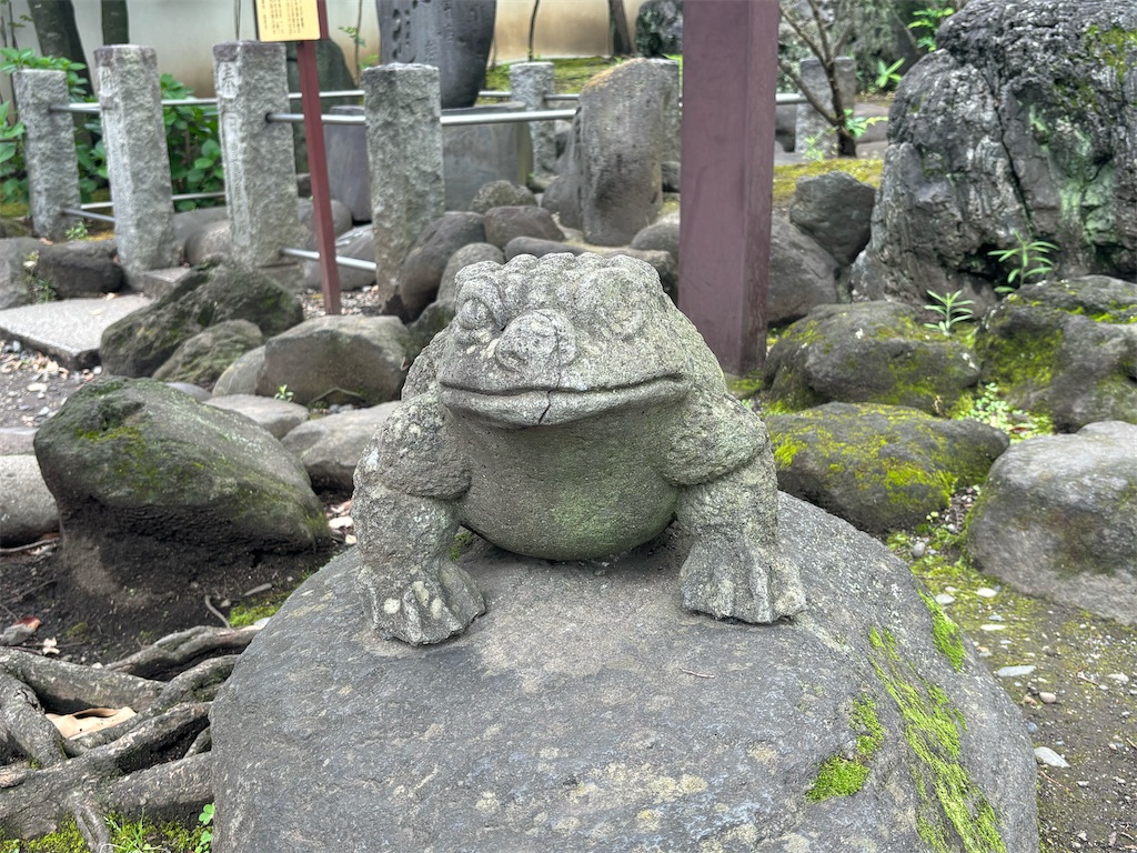 f:id:nmh470530:20240619123511j:image