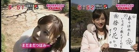 f:id:nmiji:20060214210513j:image