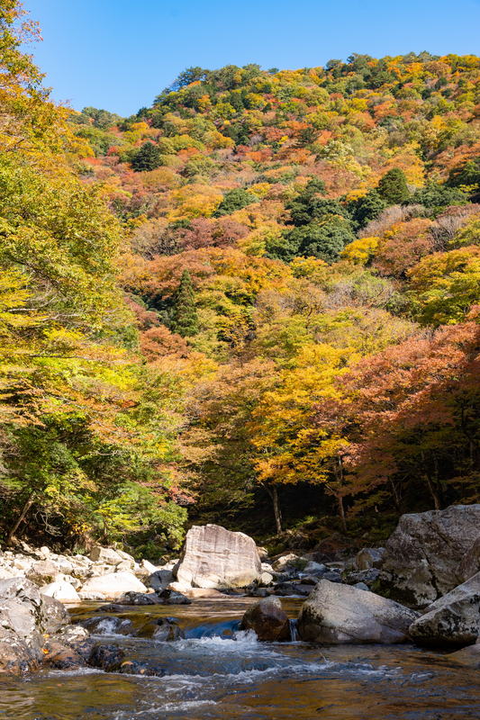 f:id:nmk5_pentax:20190915131741j:plain