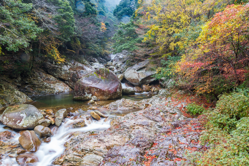 f:id:nmk5_pentax:20190917181350j:plain