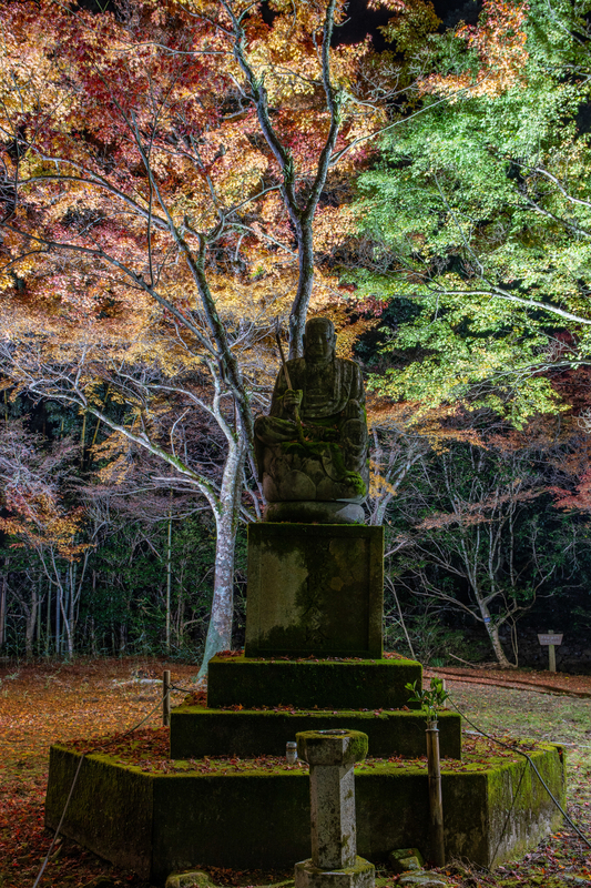 f:id:nmk5_pentax:20190917205322j:plain