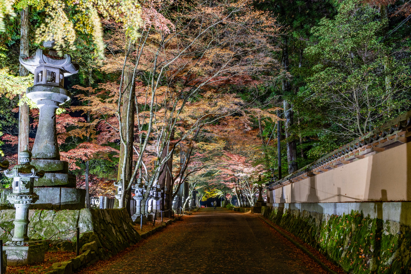 f:id:nmk5_pentax:20190917205347j:plain