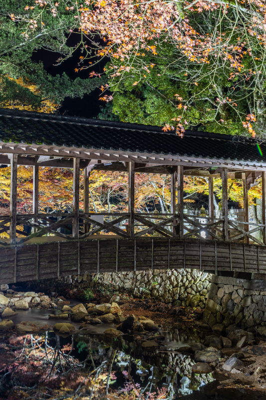 f:id:nmk5_pentax:20190917205429j:plain