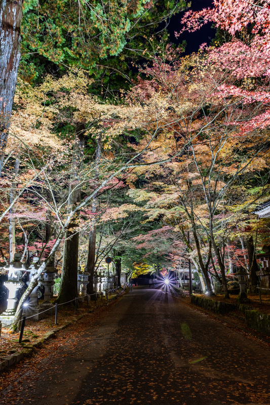 f:id:nmk5_pentax:20190917205544j:plain