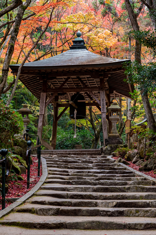 f:id:nmk5_pentax:20190922175538j:plain