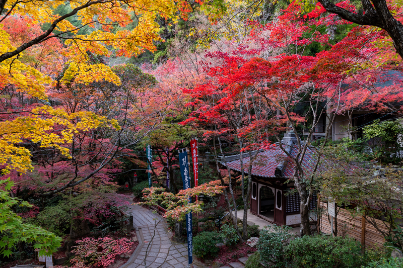 f:id:nmk5_pentax:20190922175631j:plain
