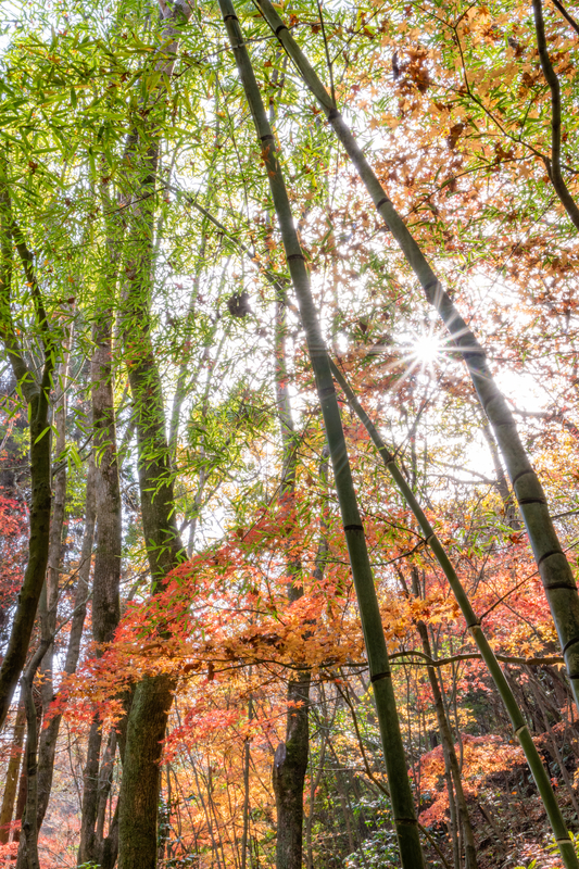 f:id:nmk5_pentax:20190927154356j:plain