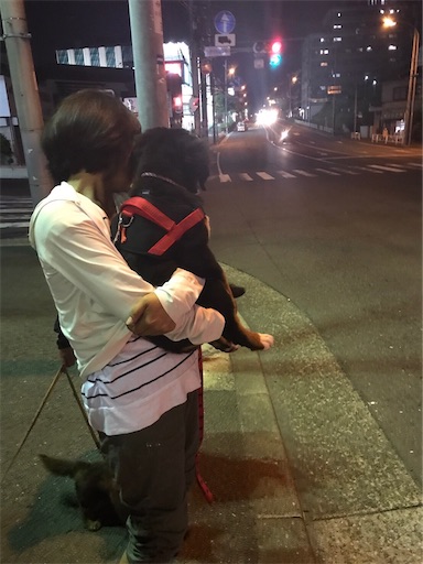 f:id:nmomon:20191223215009j:image
