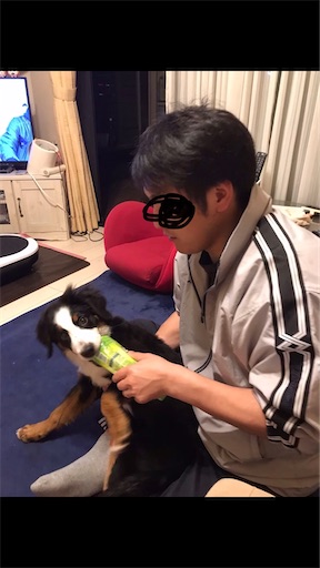 f:id:nmomon:20191223221249j:image