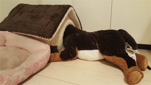 f:id:nmomon:20200106223006j:image