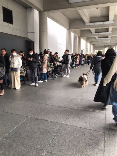 f:id:nmomon:20200111223243j:image