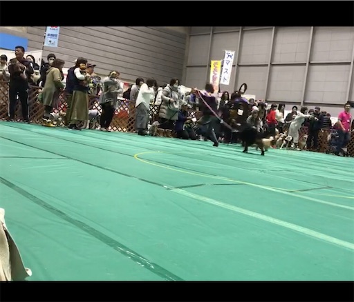 f:id:nmomon:20200111225929j:image
