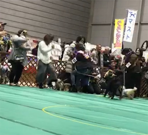 f:id:nmomon:20200111230005j:image