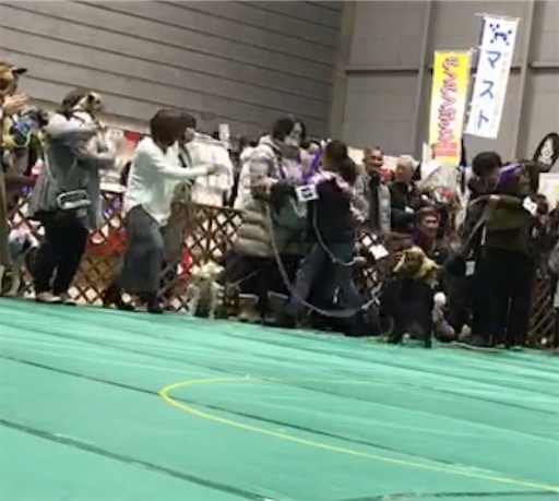 f:id:nmomon:20200111230010j:image