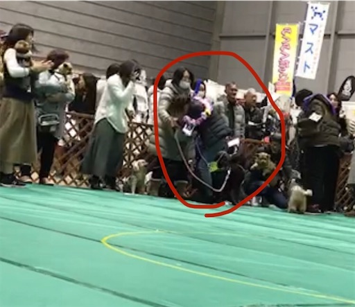 f:id:nmomon:20200111230013j:image