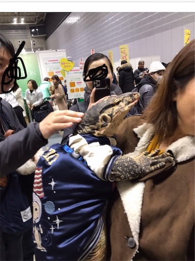 f:id:nmomon:20200111231045j:image