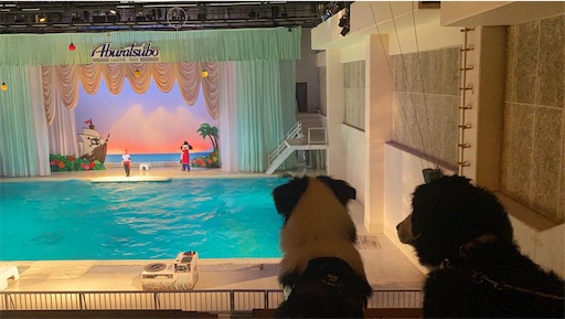 f:id:nmomon:20200119222703j:image