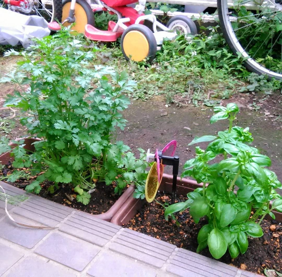 f:id:nmomose:20170618195203j:plain