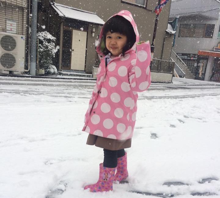 f:id:nmomose:20180122231521j:plain f:id:nmomose:20180122231521j:plain