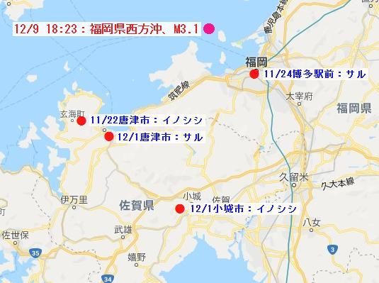 f:id:nmomose:20181210221156j:plain