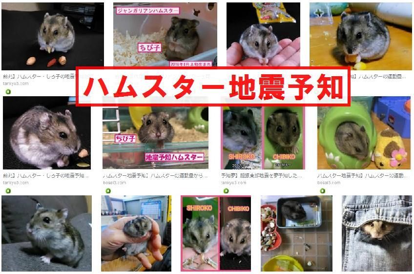 f:id:nmomose:20181214202946j:plain