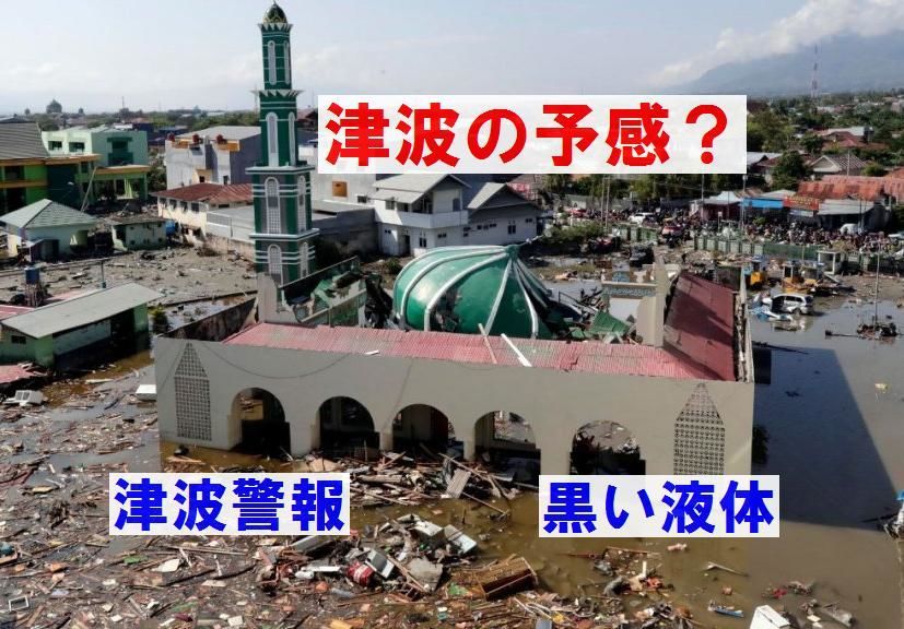 f:id:nmomose:20190202185158j:plain f:id:nmomose:20190202185158j:plain
