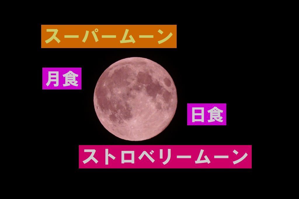 f:id:nmomose:20190602201153j:plain