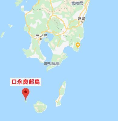 f:id:nmomose:20200203210018j:plain f:id:nmomose:20200203210018j:plain